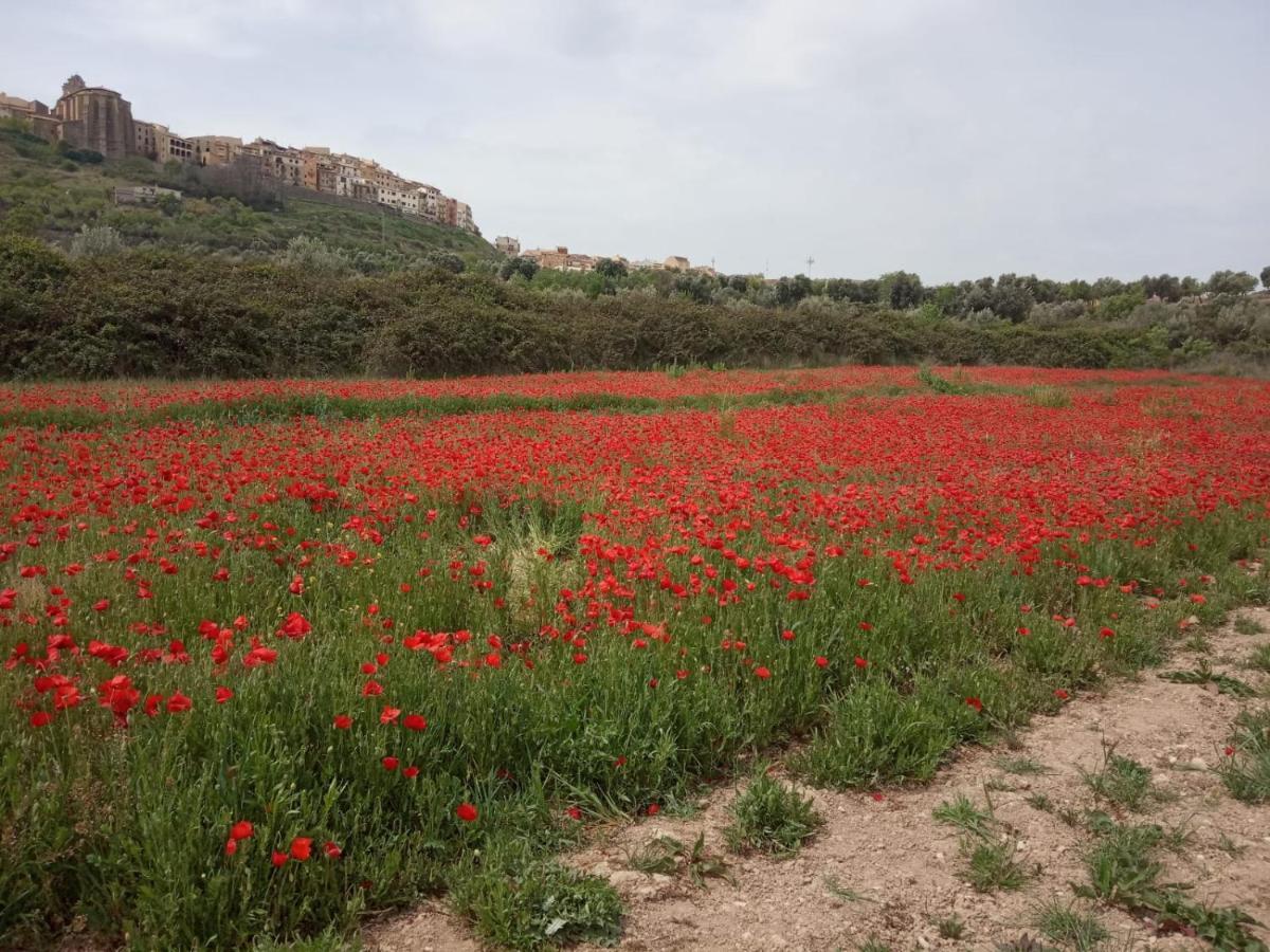 Els Ports D'Horta Lägenhet Horta de Sant Joan Exteriör bild