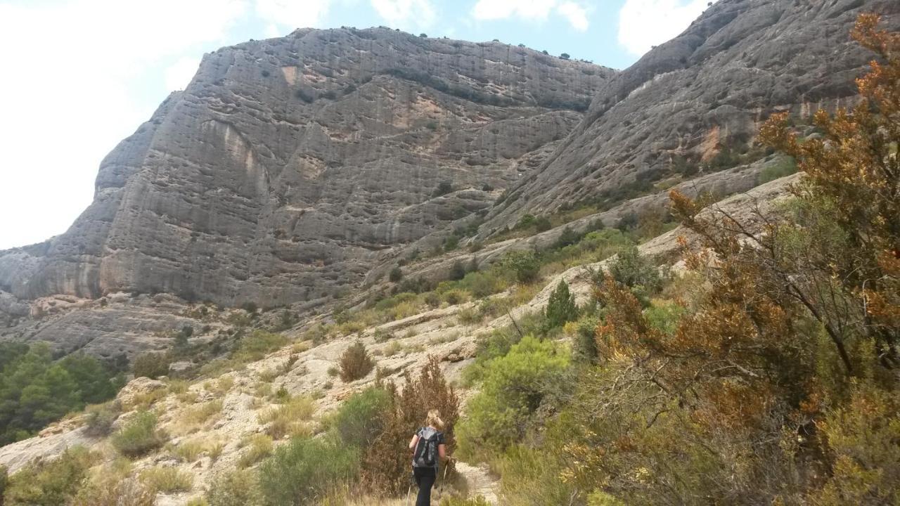 Els Ports D'Horta Lägenhet Horta de Sant Joan Exteriör bild