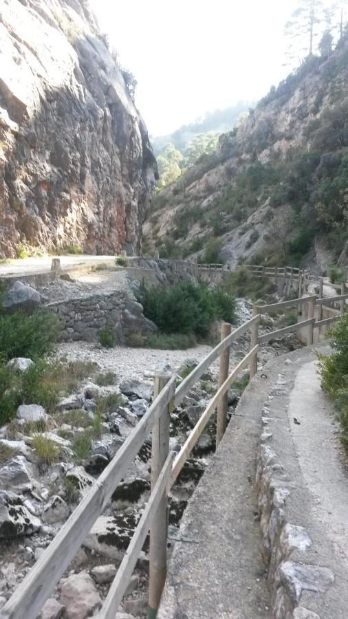 Els Ports D'Horta Lägenhet Horta de Sant Joan Exteriör bild
