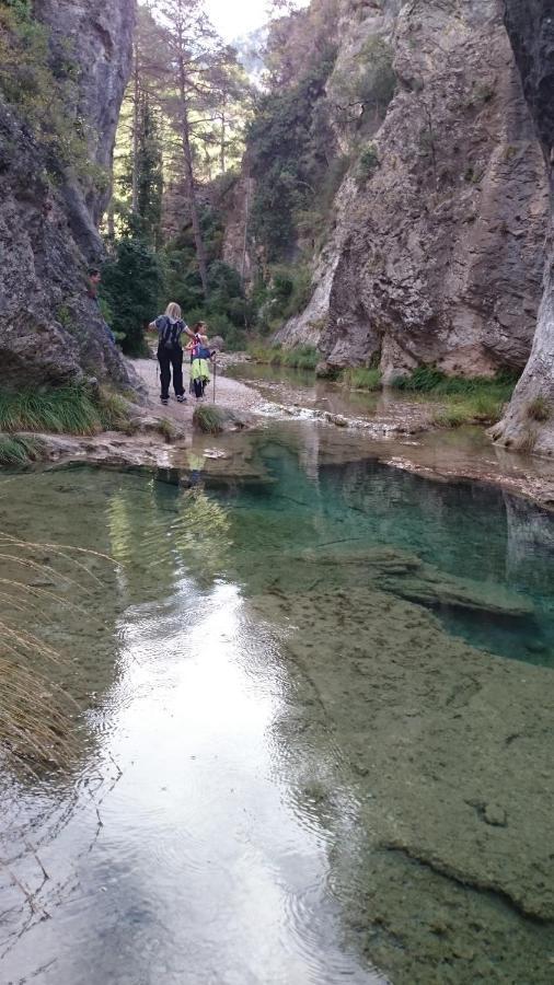 Els Ports D'Horta Lägenhet Horta de Sant Joan Exteriör bild