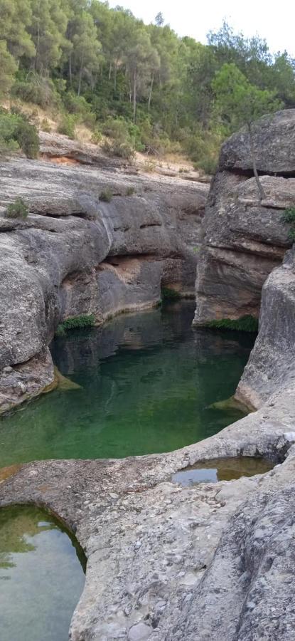 Els Ports D'Horta Lägenhet Horta de Sant Joan Exteriör bild