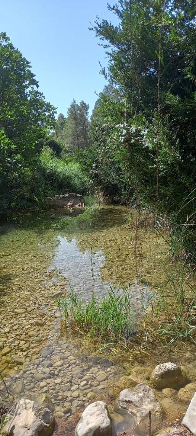 Els Ports D'Horta Lägenhet Horta de Sant Joan Exteriör bild